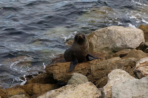 Kohinoor Getaway - C Tourism 12