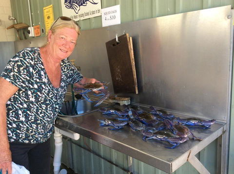 Ceduna Foreshore Caravan Park - C Tourism 28