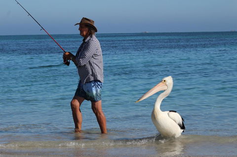 Ceduna Foreshore Caravan Park - C Tourism 21