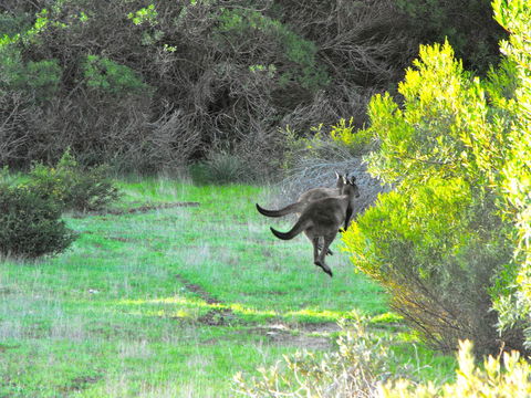 A Dune Escape - C Tourism 25