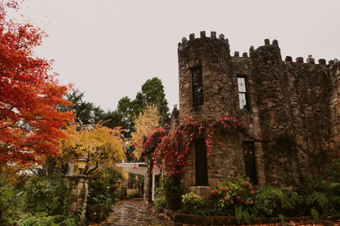 The Manor Basket Range - C Tourism 15