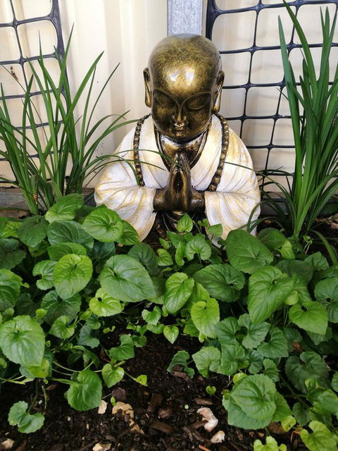 Hilda Anna's - C Tourism 44