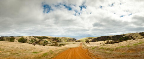 Penneshaw Oceanview Apartments - C Tourism 20