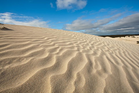 Penneshaw Oceanview Apartments - C Tourism 24