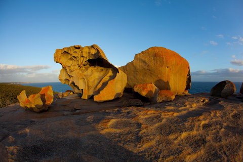 Penneshaw Oceanview Apartments - C Tourism 21