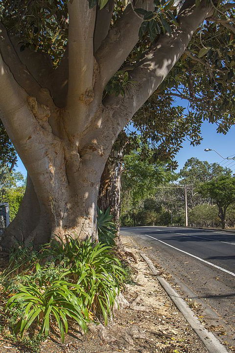 Stoneleigh Cottage Bed And Breakfast - C Tourism 25