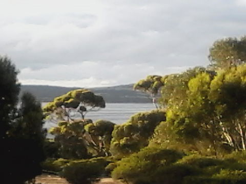 Mallee Bark Retreat - C Tourism 11