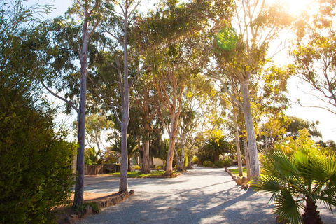 Modra\'s Apartments - C Tourism 0