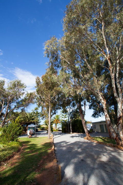 Modra\'s Apartments - C Tourism 7