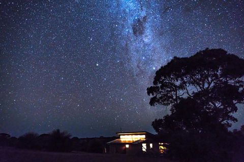 Ecopia Retreat - C Tourism 8