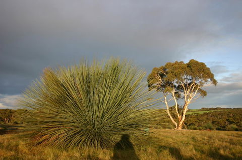 Ecopia Retreat - C Tourism 23