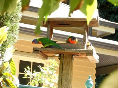 Aldgate Valley Bed And Breakfast - C Tourism 42