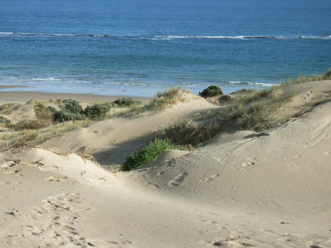 McCloud House - C Tourism 10