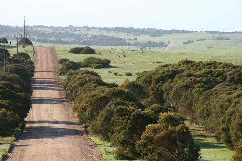 Almonta Park Lodge - C Tourism 1