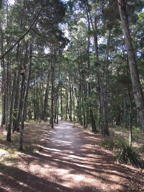 Brunswick Heads Treetop Studio - C Tourism 8
