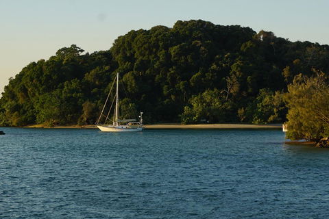 Brunswick Heads Treetop Studio - C Tourism 9