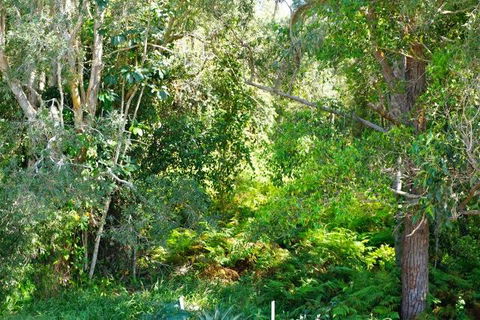 Brunswick Heads Treetop Studio - C Tourism 20