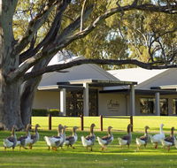 Serafino McLaren Vale - C Tourism