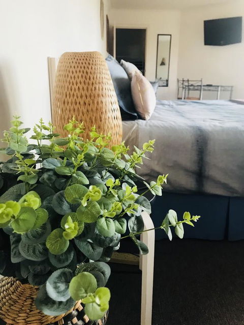 Barossa Valley Studio - C Tourism 12