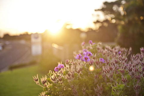 Kangaroo Island Seaside Inn - C Tourism 33