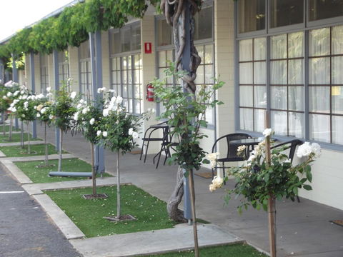 Guichen Bay Motel - C Tourism 38