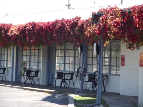 Guichen Bay Motel - C Tourism 23