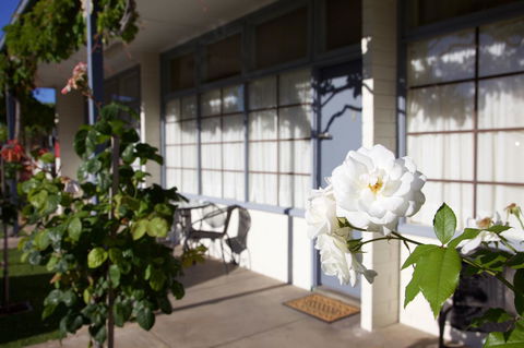 Guichen Bay Motel - C Tourism 33