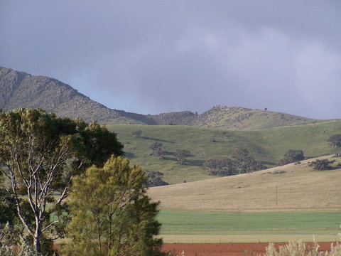 Burra Motor Inn - C Tourism 32