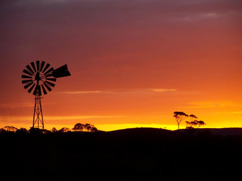 Burra Motor Inn - C Tourism 38