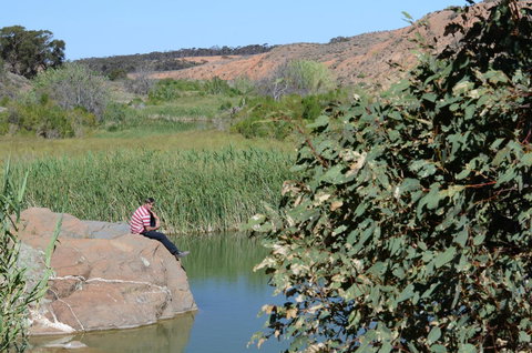 Burra Motor Inn - C Tourism 34