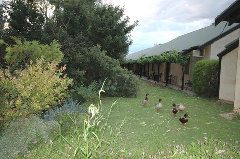 Burra Motor Inn - C Tourism 24