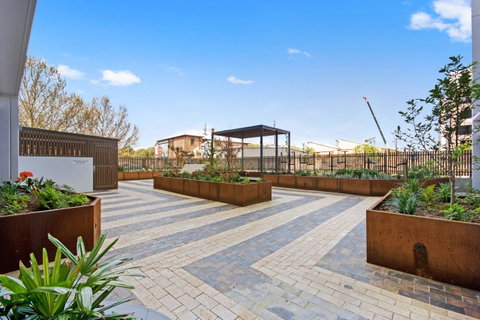 Swainson At Bowery - C Tourism 20