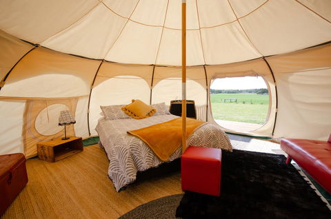 Bukirk Glamping & Fancy Coops - C Tourism 8