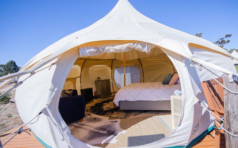 Bukirk Glamping & Fancy Coops - C Tourism 7