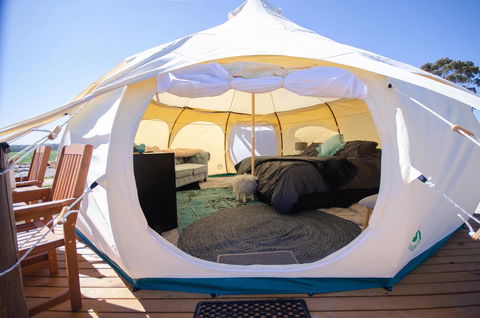 Bukirk Glamping & Fancy Coops - C Tourism 14