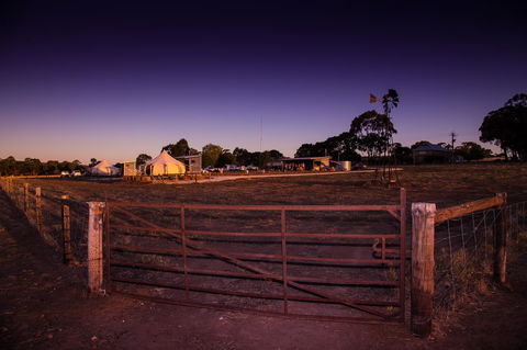 Bukirk Glamping & Fancy Coops - C Tourism 33