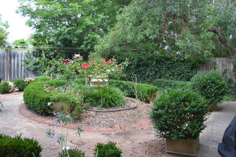 A Secret Treasure - C Tourism 17