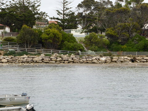 Island Motel Kingscote - C Tourism 4