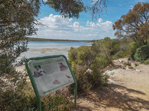 Willygunyah - C Tourism 31