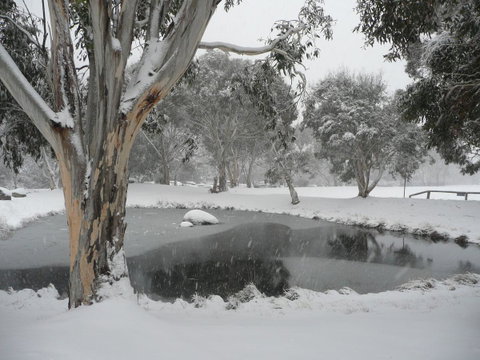 CHILL-OUT - Thredbo - C Tourism 38