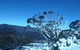 CHILL-OUT - Thredbo - thumb 33