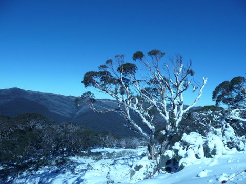 CHILL-OUT - Thredbo - C Tourism 33
