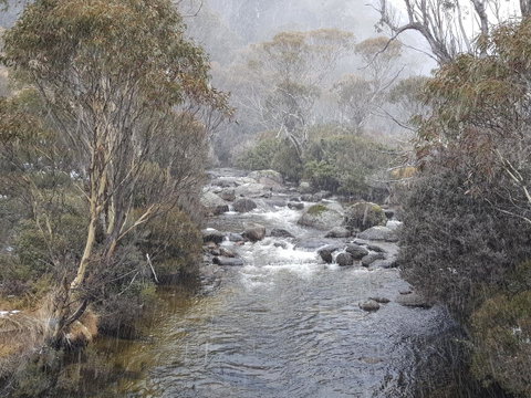 CHILL-OUT - Thredbo - C Tourism 23