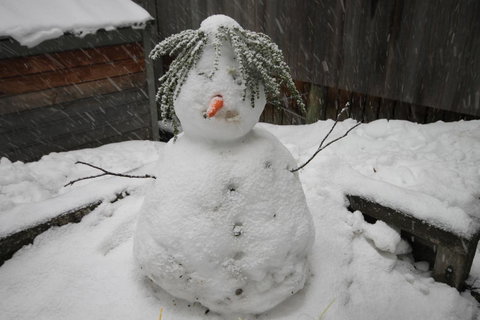CHILL-OUT - Thredbo - C Tourism 34