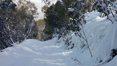 CHILL-OUT - Thredbo - C Tourism 17