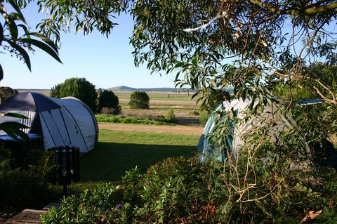 Millicent Hillview Caravan Park - C Tourism 43