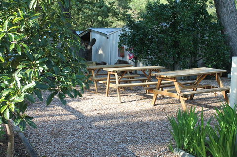 Millicent Hillview Caravan Park - C Tourism 9