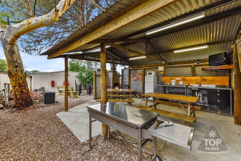 Millicent Hillview Caravan Park - C Tourism 20