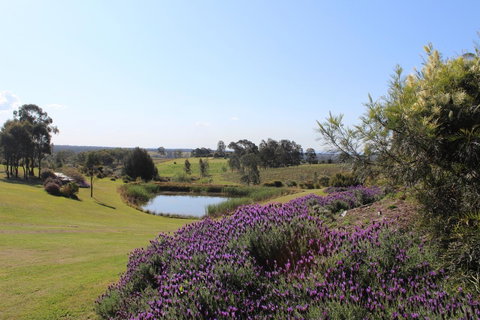 Beltana Villas - C Tourism 7
