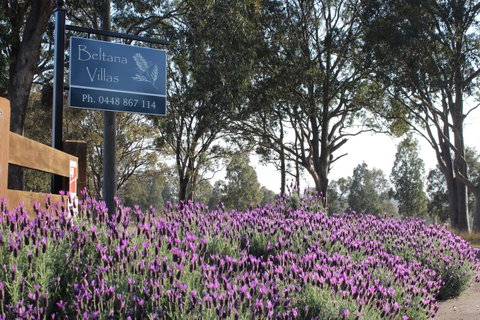 Beltana Villas - C Tourism 10